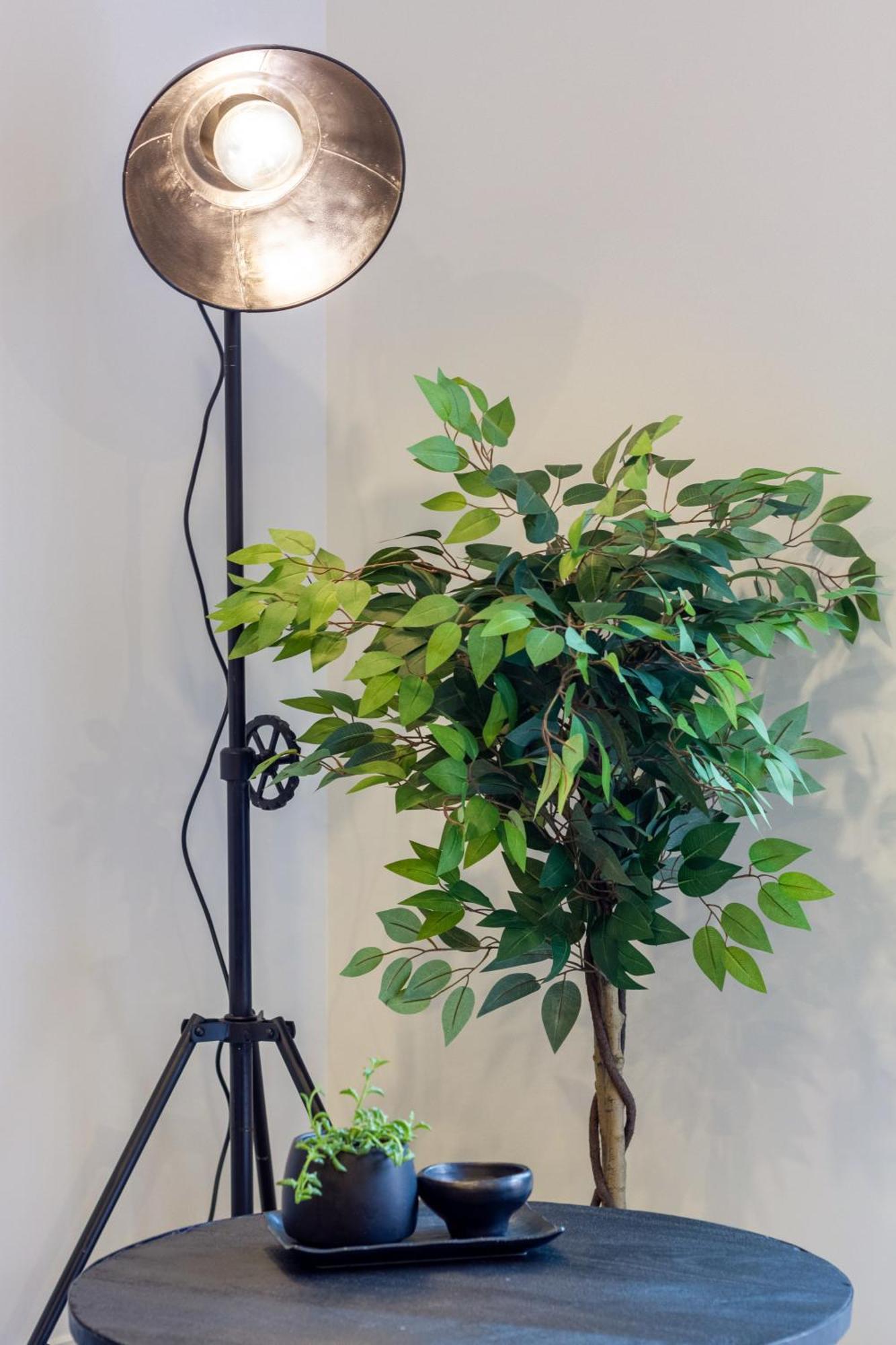 Merivale Gem: 2Br Townhouse Oasis كريستتشيرش المظهر الخارجي الصورة